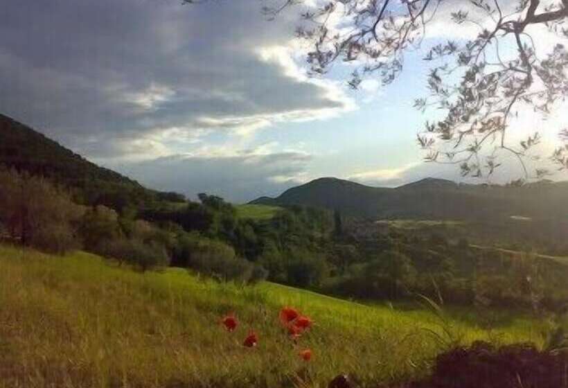 בית מלון כפרי B&b La Terrazza Del Subasio