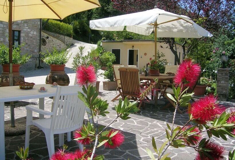 בית מלון כפרי B&b La Terrazza Del Subasio