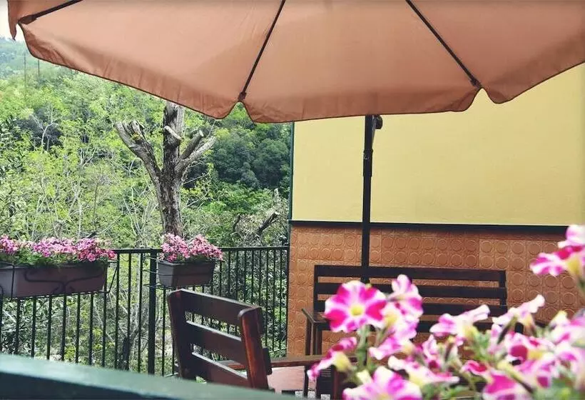 Отель Pineta Del Borgo