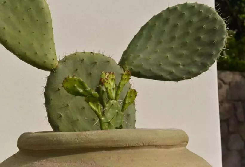 Residence Hotel Baia Portinenti