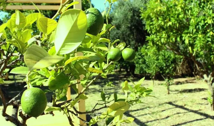 فندق Corfu Senses Resort