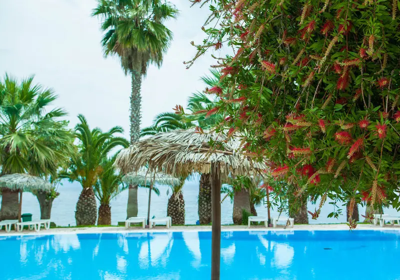 ホテル Corfu Senses Resort