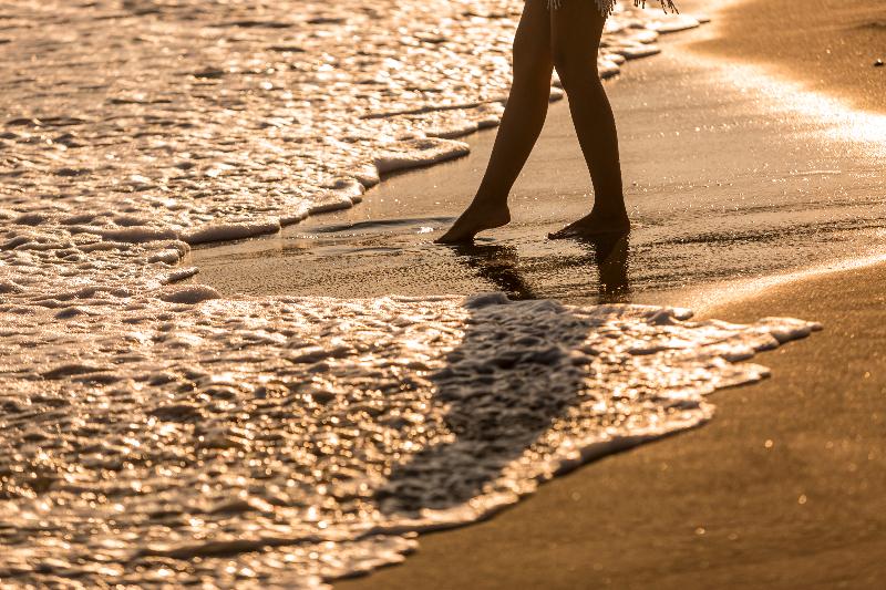 La Bitta   Bovis Hotels