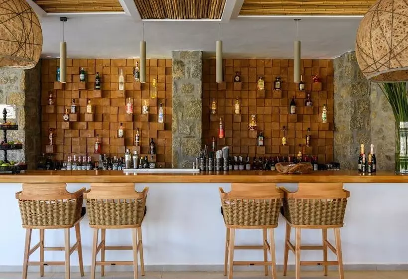 Отель Panormos Village