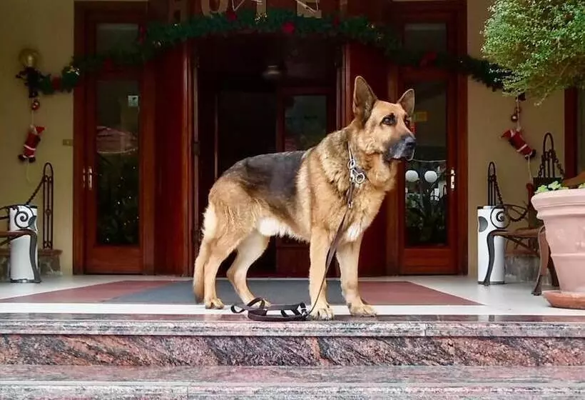 هتل Ristorante Belvedere