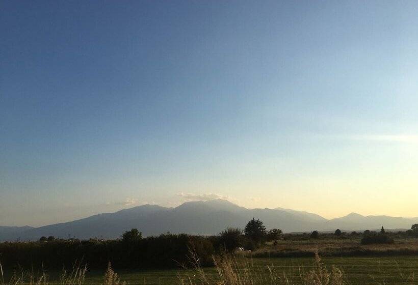 ホテル Villa Sevasti