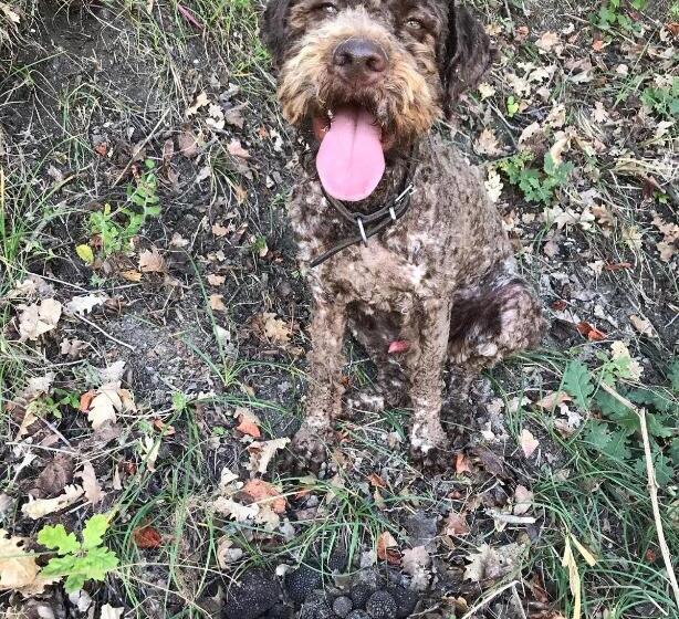 ホテル Villa Sevasti