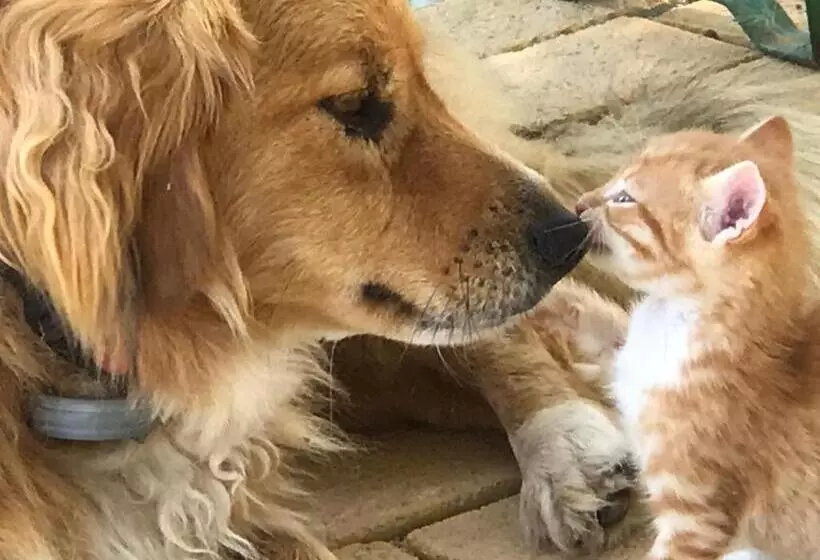 Отель Villa Sevasti