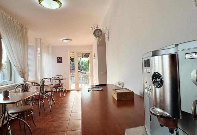 پانسیون Carpathian Newstar