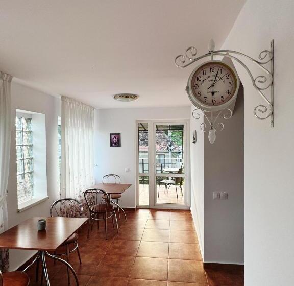 پانسیون Carpathian Newstar