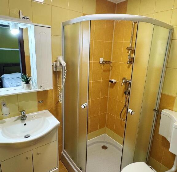 پانسیون Carpathian Newstar