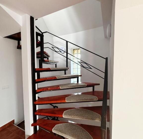 پانسیون Carpathian Newstar