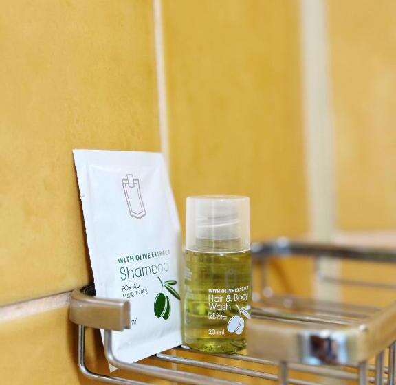 پانسیون Carpathian Newstar