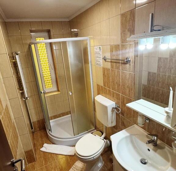 پانسیون Carpathian Newstar