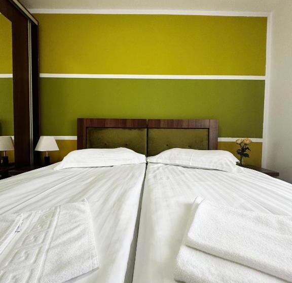 پانسیون Carpathian Newstar