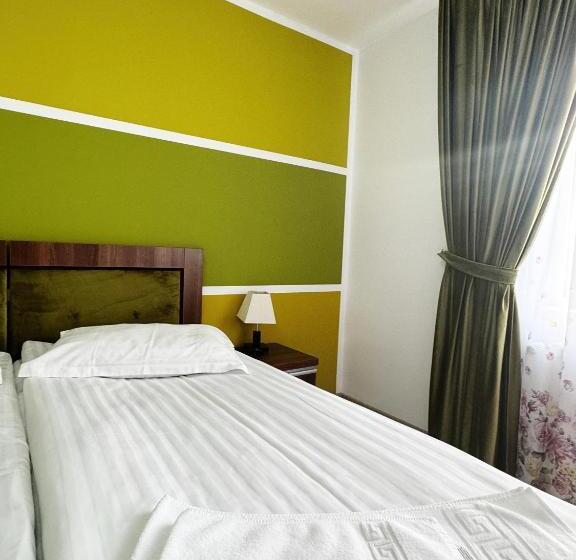 پانسیون Carpathian Newstar