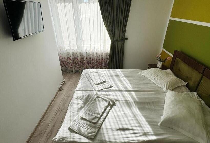 پانسیون Carpathian Newstar