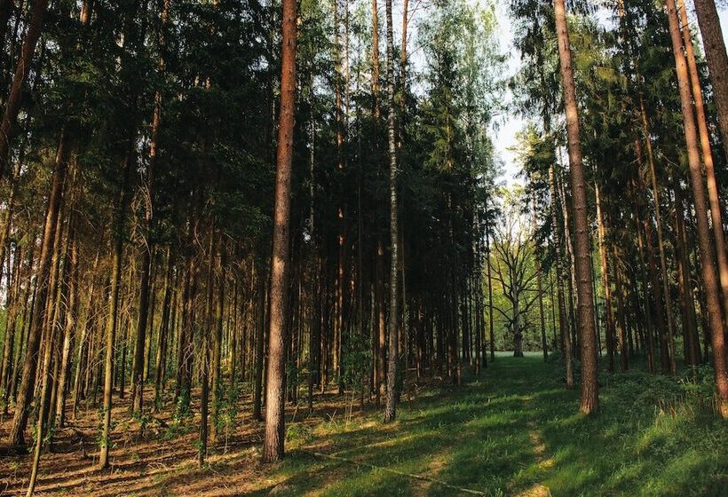 Green Park Hotel Airport Minsk