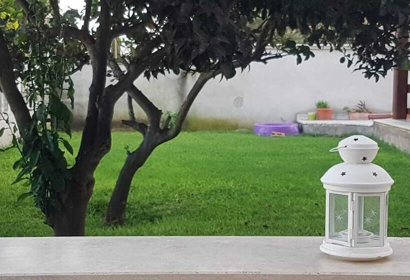 بنسيون Gh Orchidea