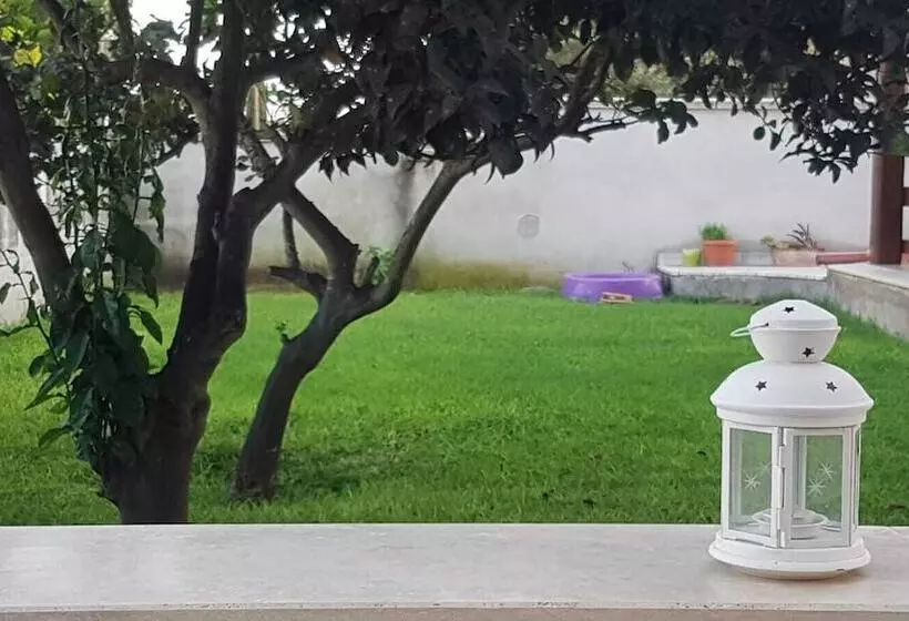 Majatalo Gh Orchidea