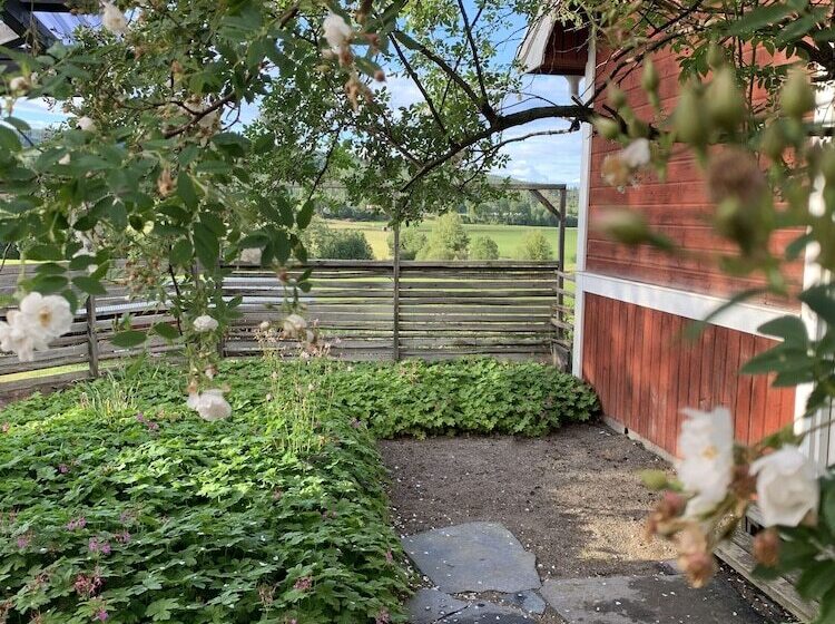 צימר Chinova Mötesgård