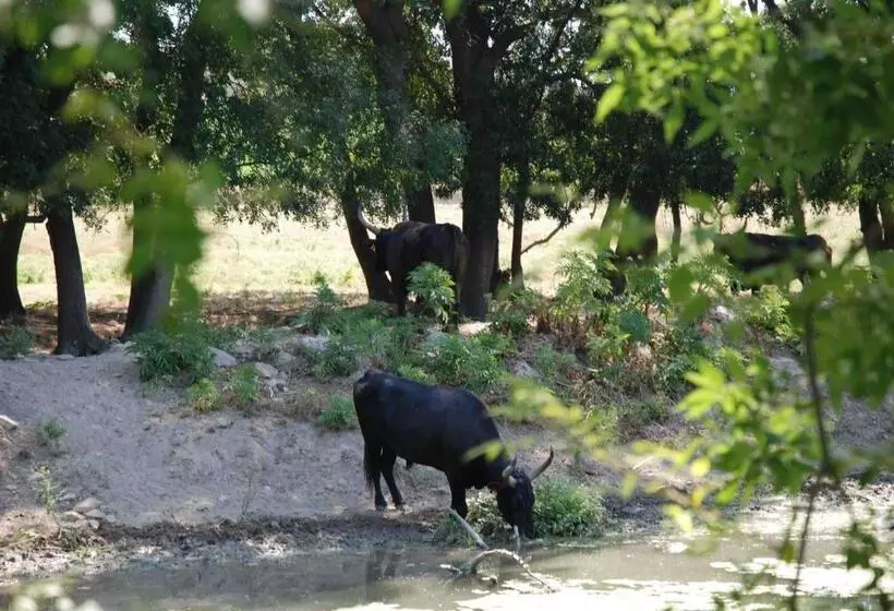 Aamiaismajoitus (B&B) Le Mazet De Jean