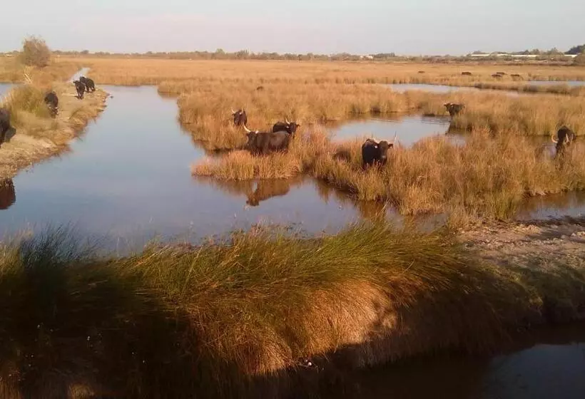 Aamiaismajoitus (B&B) Le Mazet De Jean