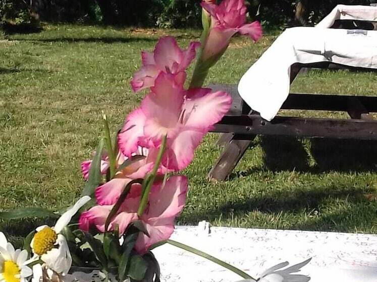 فندق Abant Hayalim Pansiyon