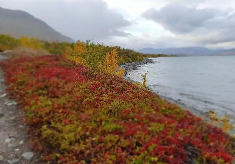 ペンション Abisko Turiststation Stf