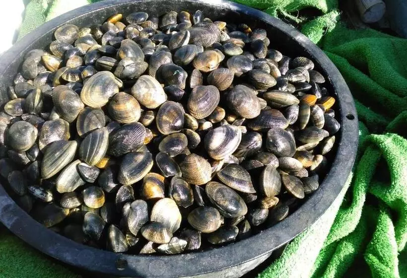 پانسیون Minshuku Takahashi Kashibuneten