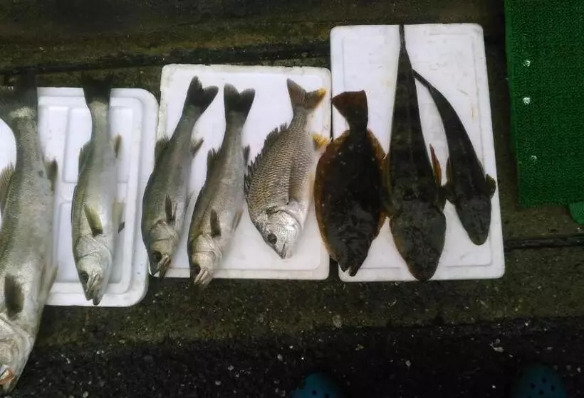 پانسیون Minshuku Takahashi Kashibuneten