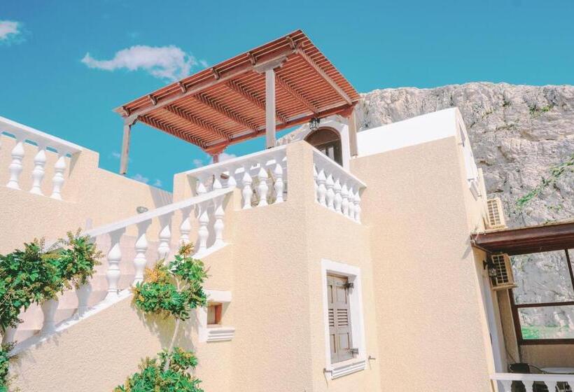 پانسیون Villa Dima