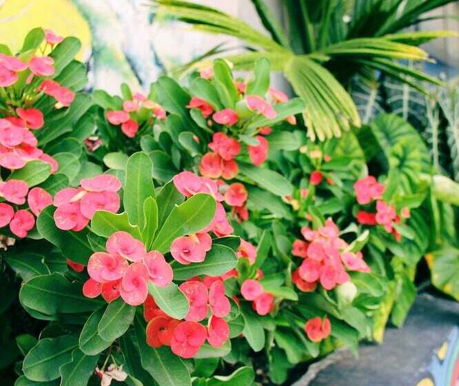 Citi Serviced Apartments   Korobosea