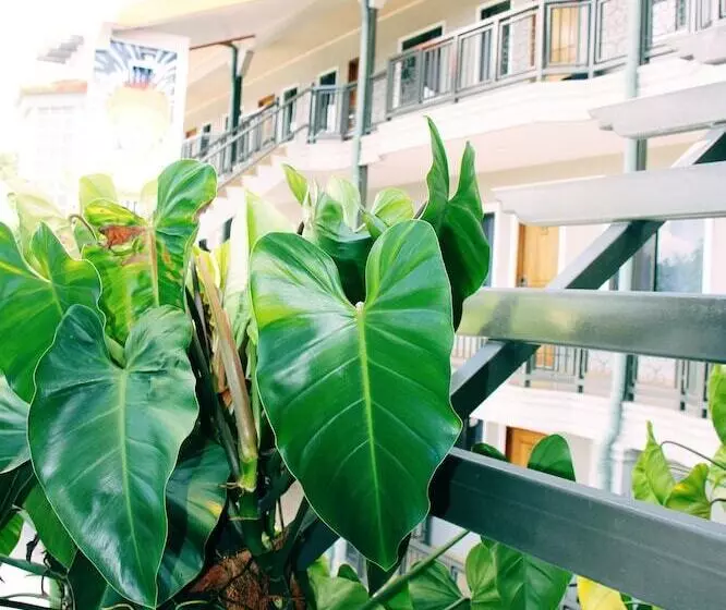 Citi Serviced Apartments   Korobosea