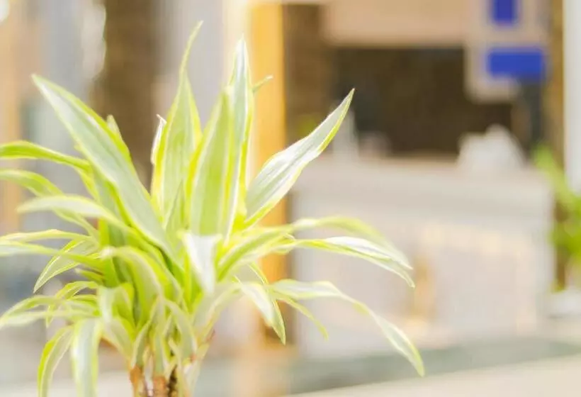 Hotelli Al Farhan Dumah Al Jandal