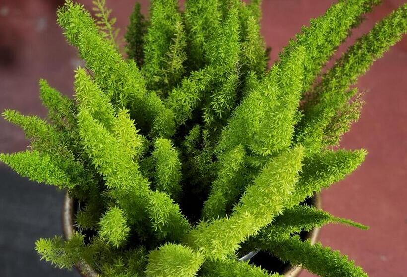 מוטל Day N Night Inn   Near Universal Studios Hollywood