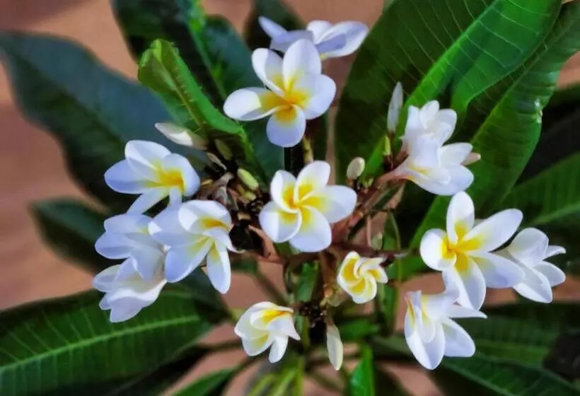 Motelli Day N Night Inn   Near Universal Studios Hollywood