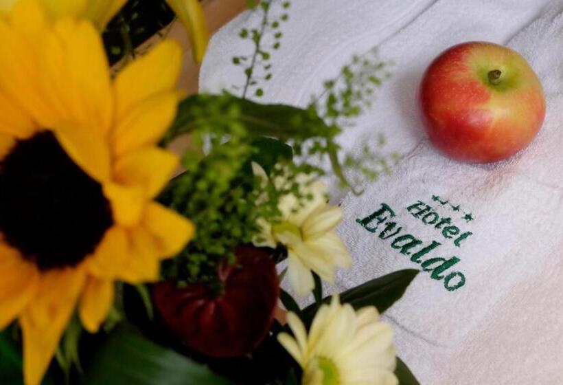 בית מלון כפרי Evaldo