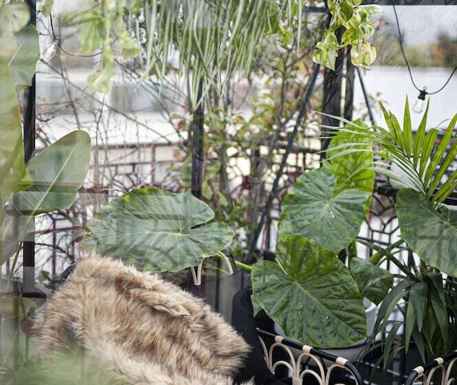 ホテル Hôtel Félicien & Spa