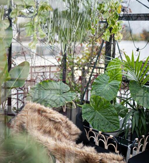 ホテル Hôtel Félicien & Spa