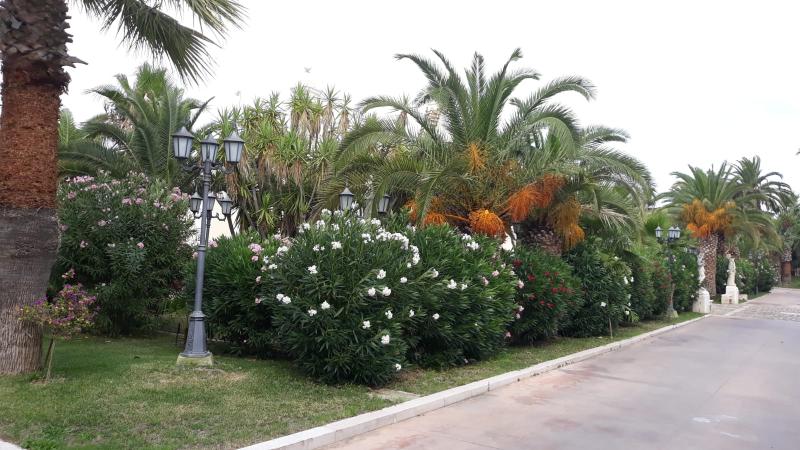 Grand Hotel Vigna Nocelli