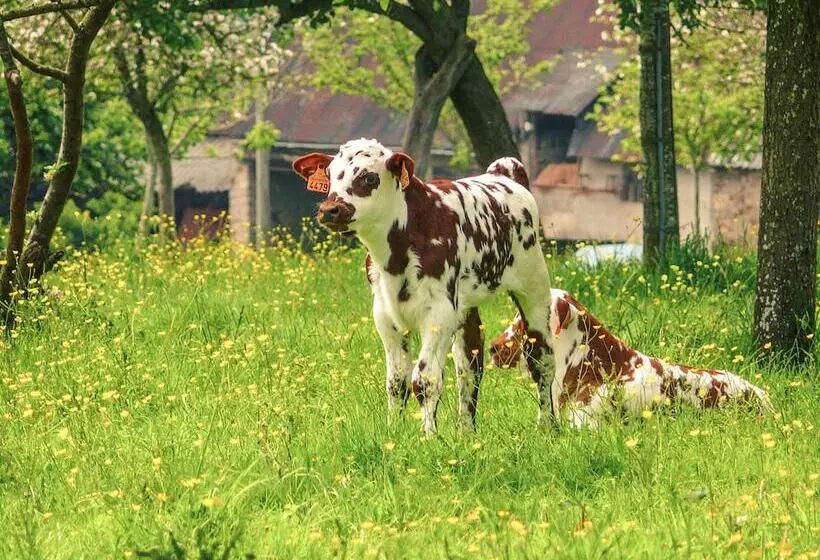 Отель Ibis Bayeux Port En Bessin
