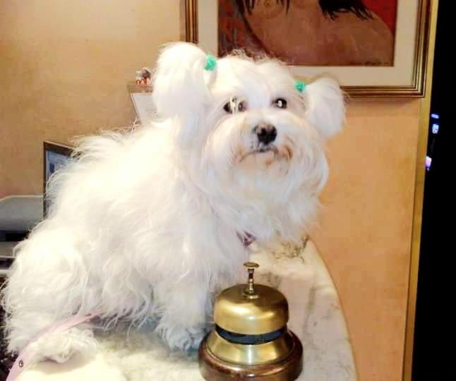 هتل New Tiffany's Park