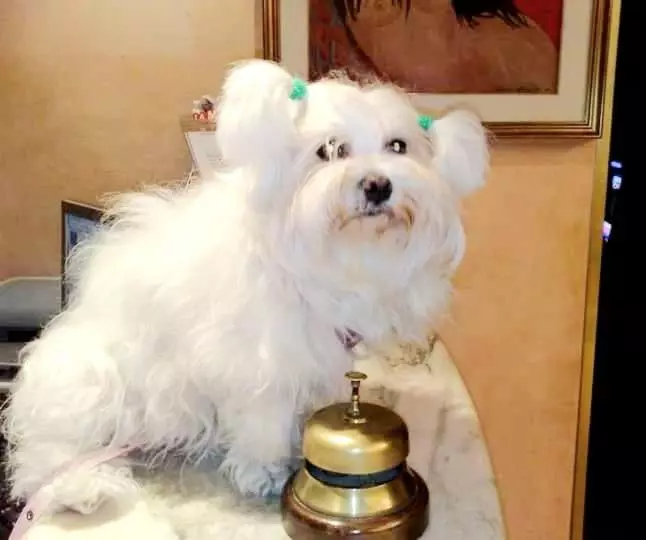 هتل New Tiffany's Park