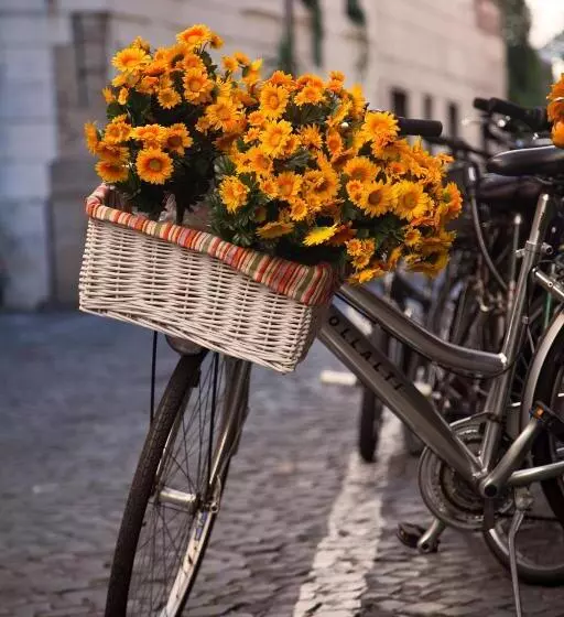 تختخواب و صبحانه Residenza Pantaleo