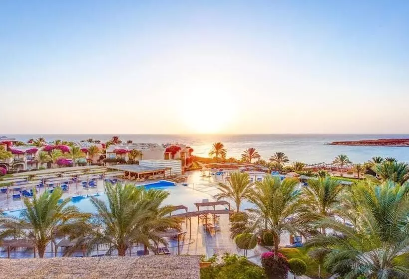 هتل Tui Magic Life Kalawy