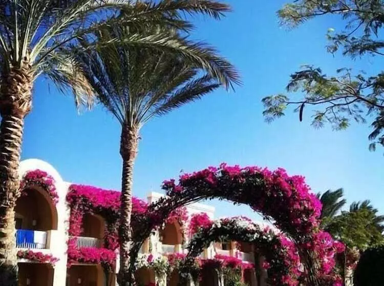 هتل Tui Magic Life Kalawy