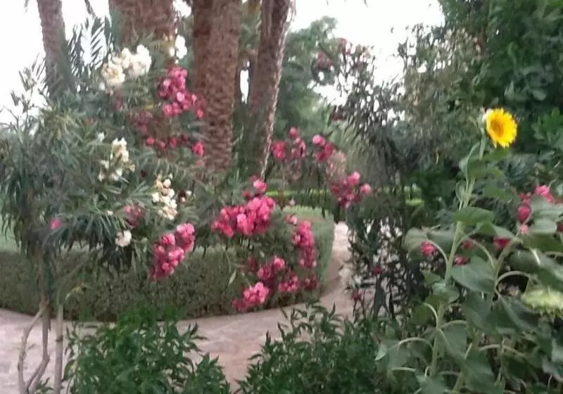 Отель Ksar Assalassil