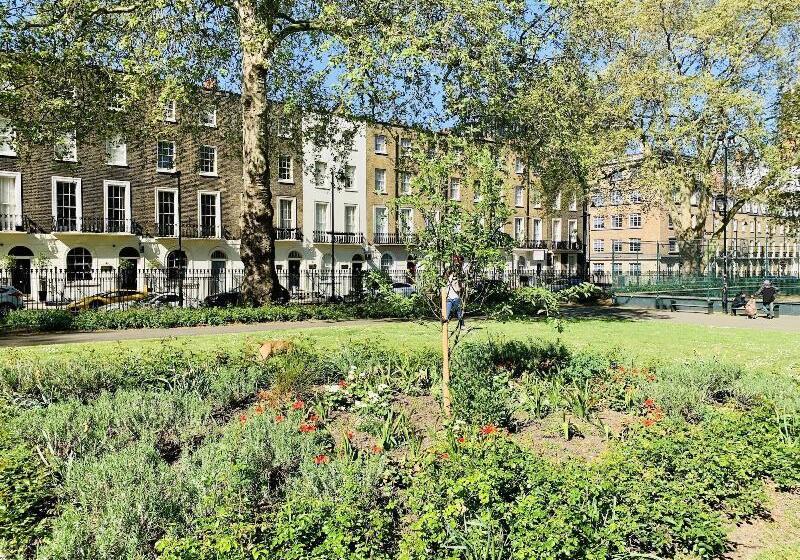 هتل The Rokxy Townhouse   Kings Cross