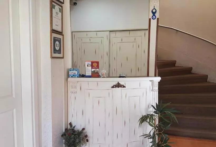 בית מלון כפרי Anadolu